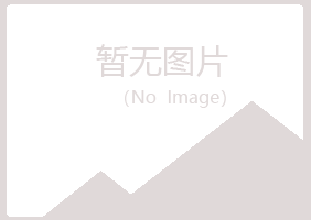 攀枝花夏日能源有限公司